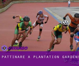 Pattinare a Plantation Gardens