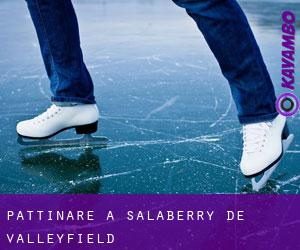 Pattinare a Salaberry-de-Valleyfield