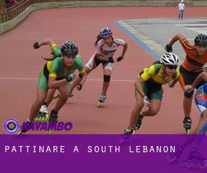 Pattinare a South Lebanon