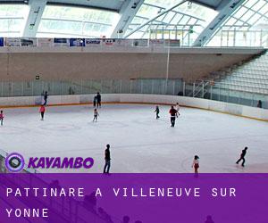 Pattinare a Villeneuve-sur-Yonne