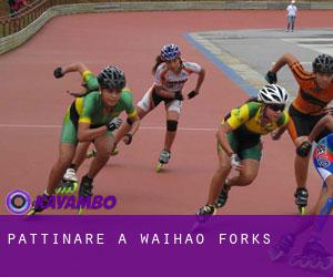 Pattinare a Waihao Forks