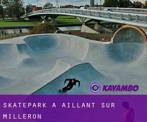 Skatepark a Aillant-sur-Milleron