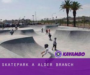 Skatepark a Alder Branch
