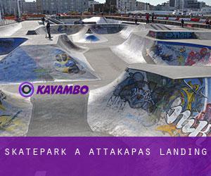 Skatepark a Attakapas Landing