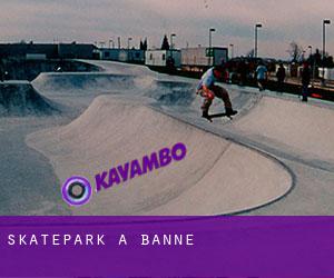 Skatepark a Banne