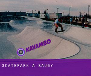 Skatepark a Baugy