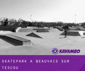 Skatepark a Beauvais-sur-Tescou