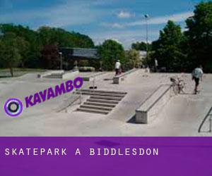 Skatepark a Biddlesdon