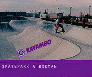 Skatepark a Bodman