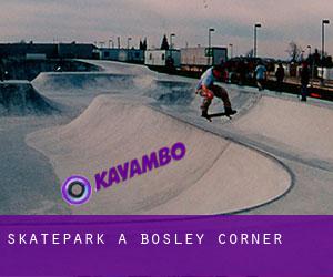 Skatepark a Bosley Corner