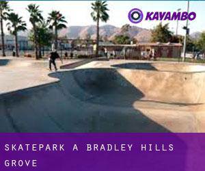 Skatepark a Bradley Hills Grove