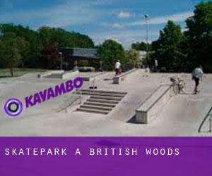 Skatepark a British Woods
