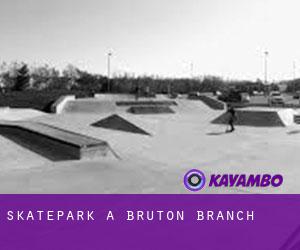 Skatepark a Bruton Branch