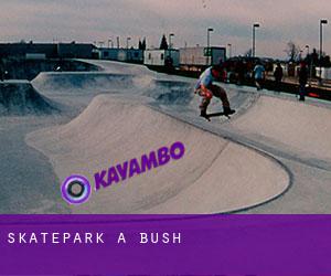 Skatepark a Bush