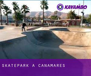 Skatepark a Cañamares