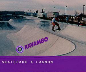 Skatepark a Cannon