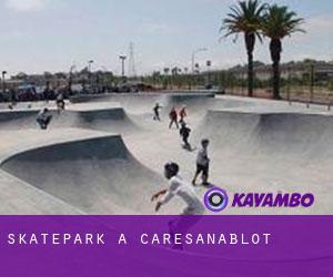 Skatepark a Caresanablot