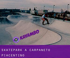Skatepark a Carpaneto Piacentino