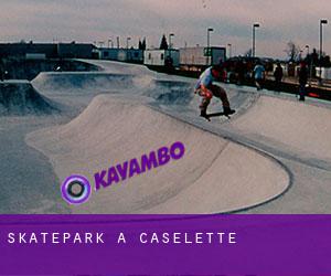 Skatepark a Caselette