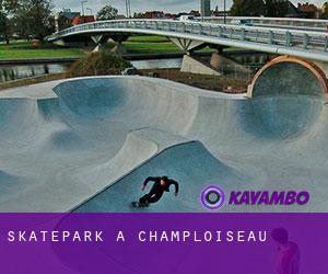 Skatepark a Champloiseau