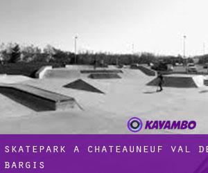 Skatepark a Châteauneuf-Val-de-Bargis