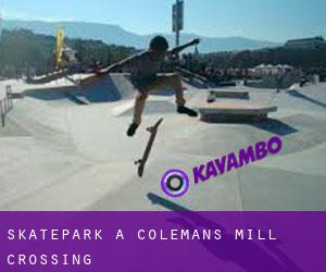 Skatepark a Colemans Mill Crossing
