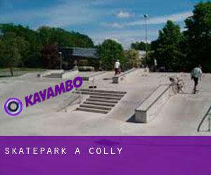 Skatepark a Colly