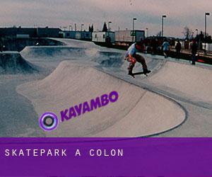 Skatepark a Colon