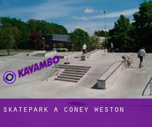 Skatepark a Coney Weston