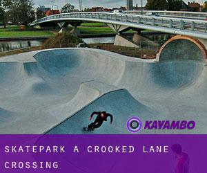 Skatepark a Crooked Lane Crossing