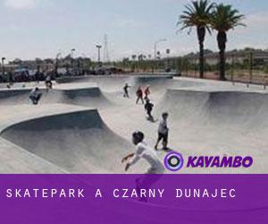 Skatepark a Czarny Dunajec