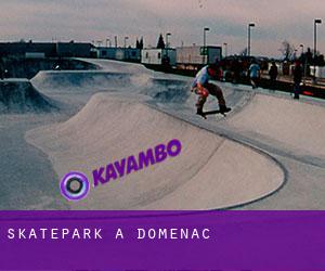 Skatepark a Domenac