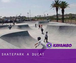 Skatepark a Ducat