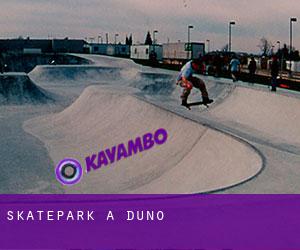 Skatepark a Duno