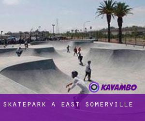 Skatepark a East Somerville