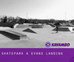 Skatepark a Evans Landing
