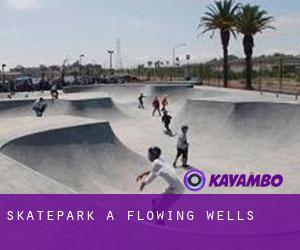 Skatepark a Flowing Wells