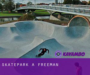 Skatepark a Freeman