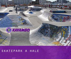 Skatepark a Hale