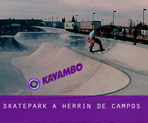 Skatepark a Herrín de Campos