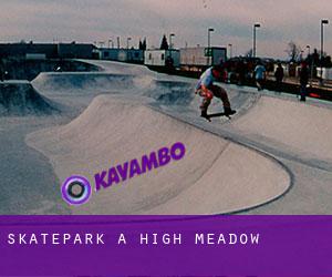 Skatepark a High Meadow