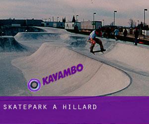 Skatepark a Hillard