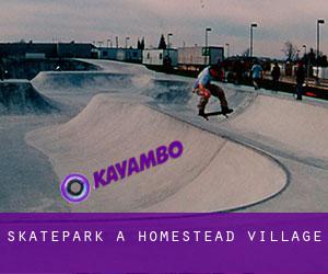 Skatepark a Homestead Village