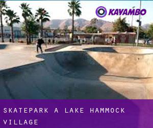 Skatepark a Lake Hammock Village