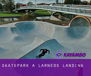 Skatepark a Larneds Landing