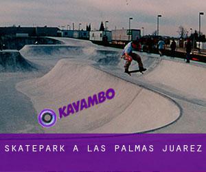 Skatepark a Las Palmas-Juarez