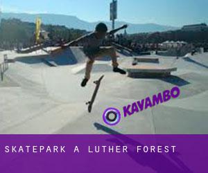 Skatepark a Luther Forest