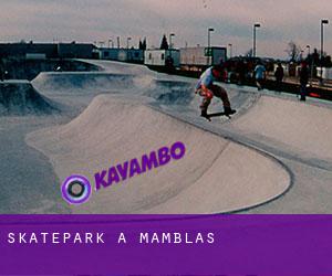 Skatepark a Mamblas