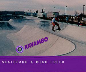 Skatepark a Mink Creek