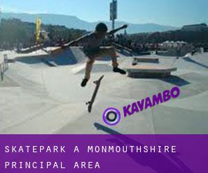 Skatepark a Monmouthshire principal area
